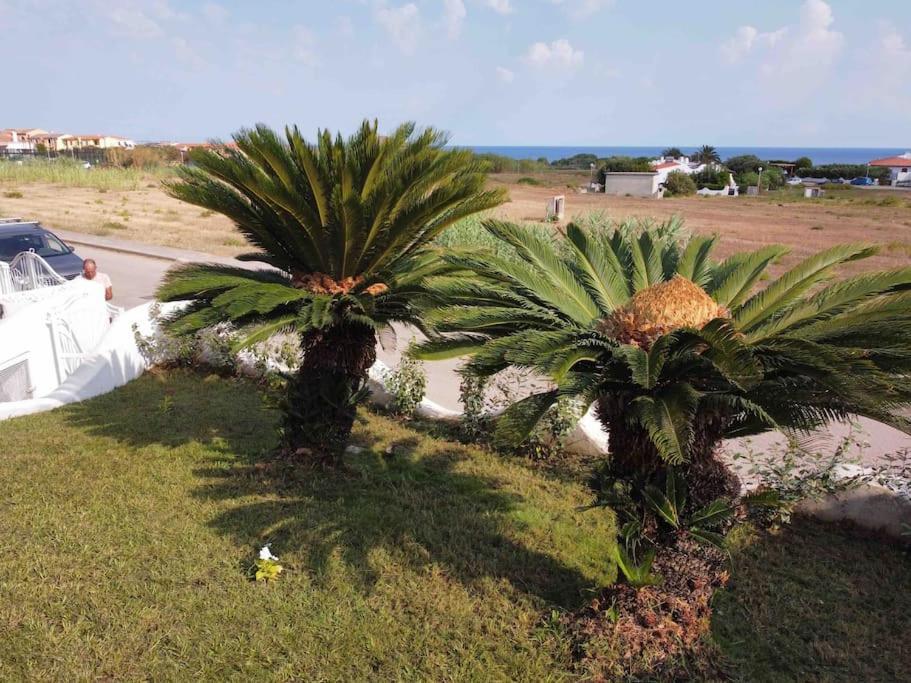 Casa Su Soli Sardu II - Sea View ヴァッレドーリア エクステリア 写真